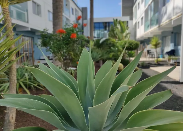 公寓 Casa Federica *