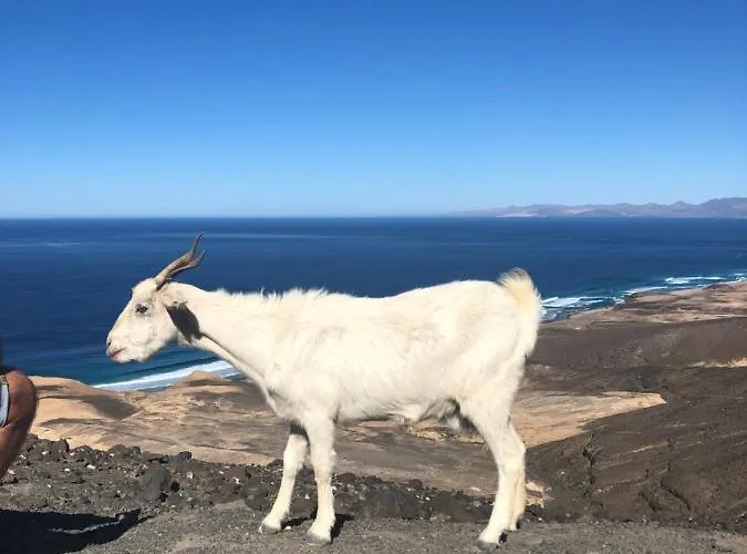 Lägenhet Casa Federica Corralejo