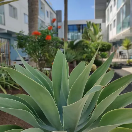 Apartment Casa Federica *