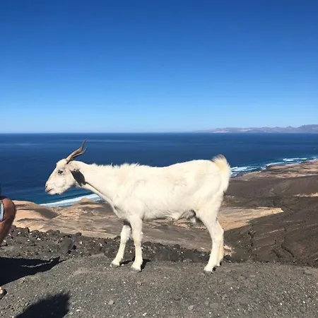 Apartment Casa Federica Corralejo